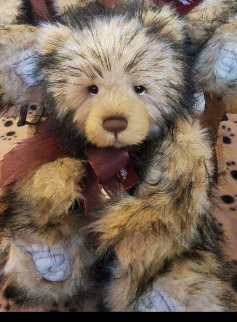 Charlie Bears Marlies – Bild 2